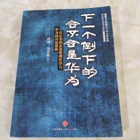 下一个倒下的会不会是华为：任正非的企业管理哲学与华为的兴衰逻辑