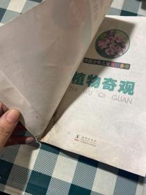 中国少年儿童百科全书 植物奇观