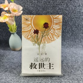 遥远的救世主 正版太阳花版