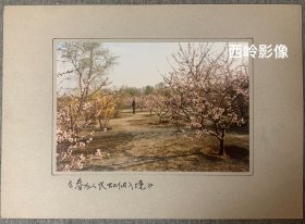 天津市老摄影家李玉琪1980/1990年代摄影作品:《春似长虹仙入境》，背面有具体摄影信息和签名～