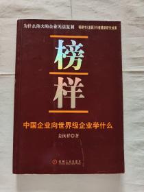 榜样：中国企业向世界级企业学什么