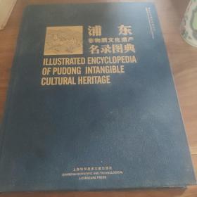 浦东非物质文化遗产名录图典