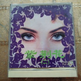 紫荆花 二1VCD