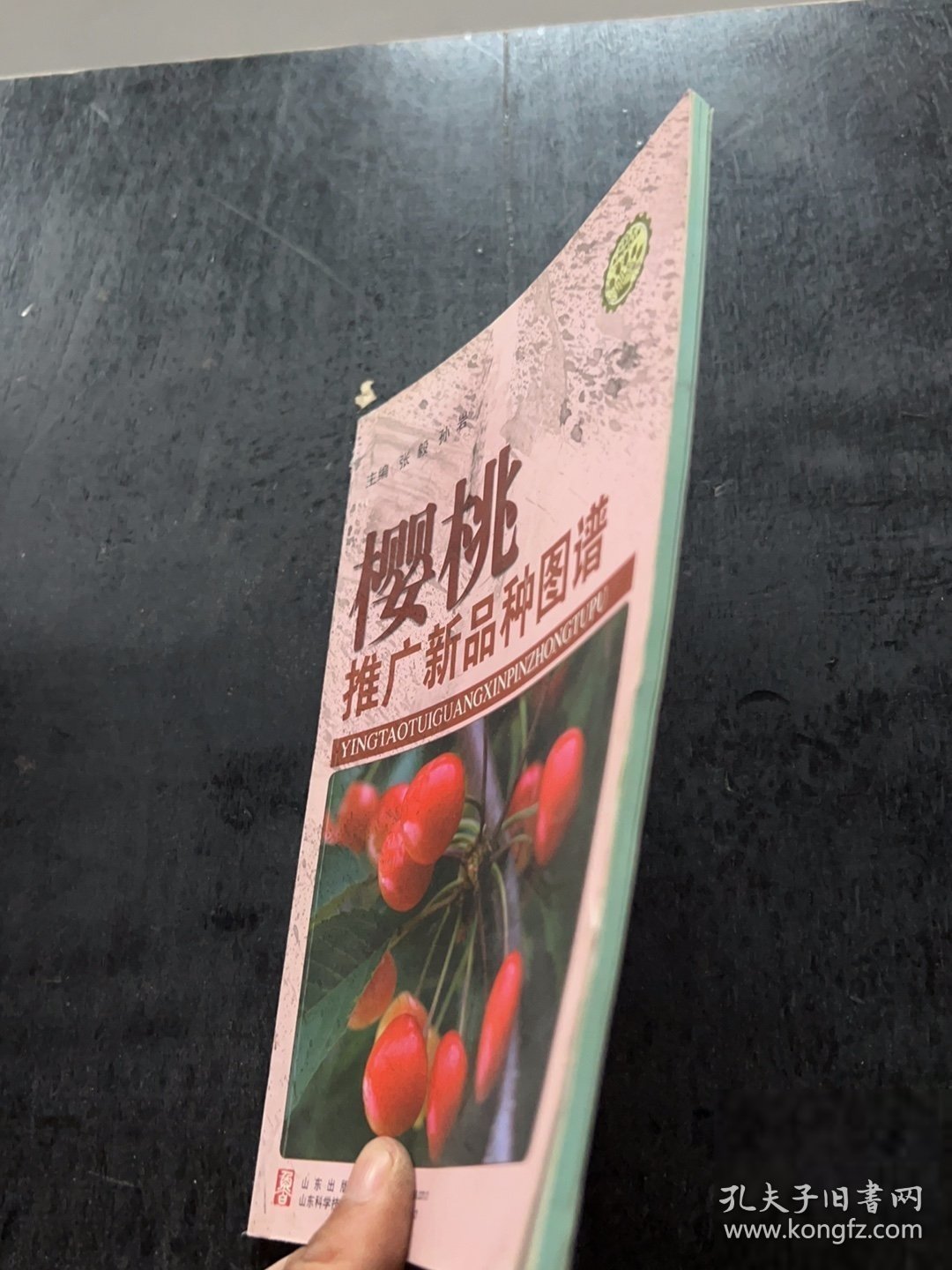 樱桃推广新品种图谱张毅、孙岩 著