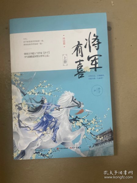 将军有喜2.终结篇