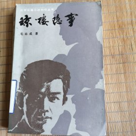 北京长篇小说创作丛书：琼楼隐事