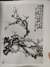 散页美术资料（印刷品）———书画——白梅【于希宁】○神州大地花似锦【周怀民，白雪石，许麟庐，卢光照，娄师白，胡絜青，王培东，张步，李问汉，金默如，郭怡琮等】○天池饮马图【张步，朱军山，秦剑铭，杨延文，孙日晓，范曾】，春在枝头【孙奇峰】1960