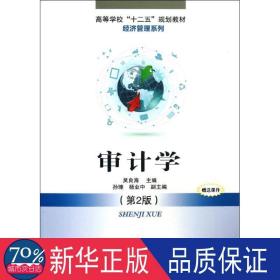 审计学财经管理系列 大中专理科计算机 吴良海 编 新华正版