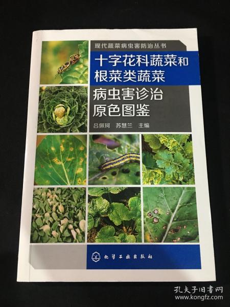 现代蔬菜病虫害防治丛书：十字花科蔬菜和根菜类蔬菜病虫害诊治原色图鉴