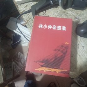 林小仲杂感集