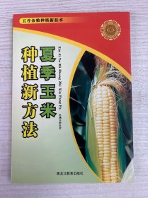 夏季玉米种植新方法