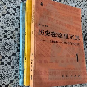 历史在这里沉思1-3：1966-1976年记实