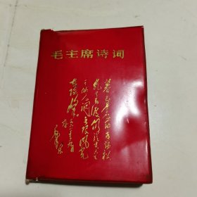 毛主席诗词（64开） 有多幅彩图 1题词