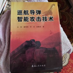 巡航导弹智能攻击技术