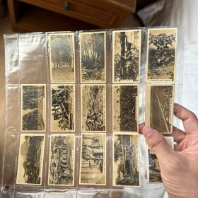 1929年 马来西亚的工农业 烟卡 香烟卡 照片材质卡片 甘蔗 椰子 菠萝 木棉树 锡矿 橡胶园 糖厂 等