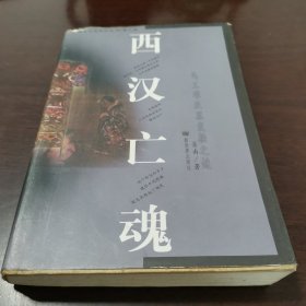 中国文化史探秘丛书(第二辑)-西汉亡魂