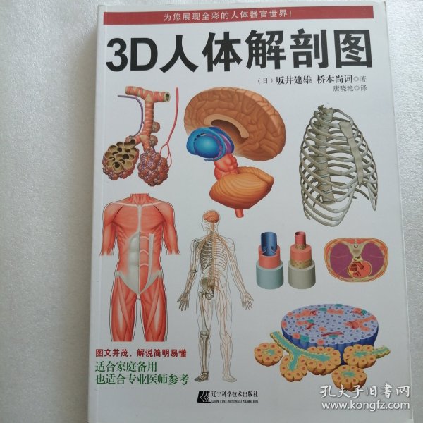 3D人体解剖图