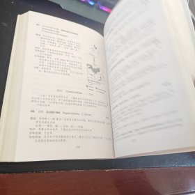 中国鸟类野外手册