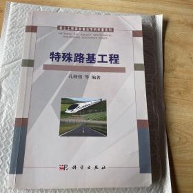 岩土工程国家重点学科专著系列：特殊路基工程