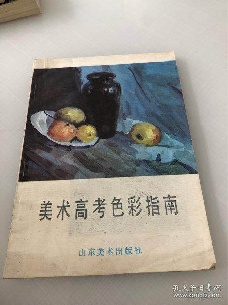 美术高考色彩指南