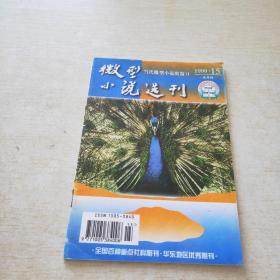 微型小说选刊 1999 15