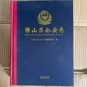 博山区公安志