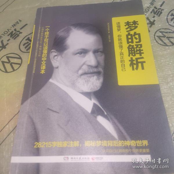 梦的解析：一个终于可以读懂的中文译本