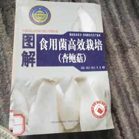 图解食用菌高效栽培. 白灵菇 杏鲍菇 秸秆四季栽培食用菌指南（3本合售）