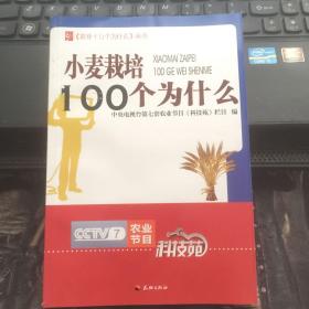 小麦栽培100个为什么