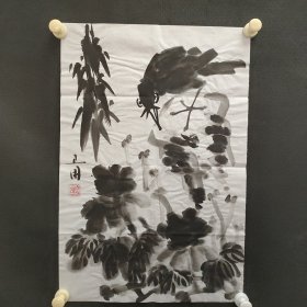 122e32：著名画家、花鸟师承李苦禅大师、中国美术家协会北京分会会员—钱卫国 花鸟国画作品一幅 ，纸本软片，尺寸约1.3平尺！