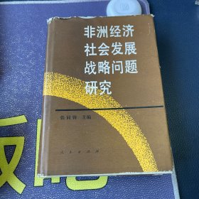 非洲经济社会发展战略问题研究 精装