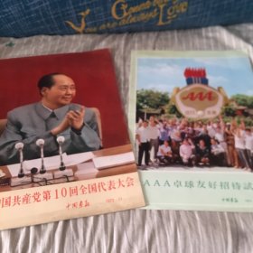 中国共产党第10回全国代表大会。付录