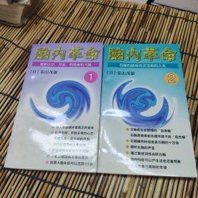 脑内革命 第一卷:重新认识、开发、利用你的大脑。 第二卷:右脑的使用将改变你的人生。(二本合售) 包邮