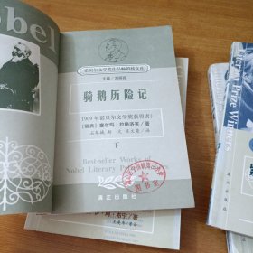 获诺贝尔文学奖精品典藏文库：骑鹅历险记 下册、紫罗兰、米佳的爱、魔山 下册 4本