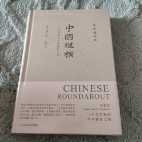 中国纵横：一个汉学家的学术探索之旅