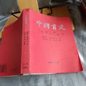 中国盲文