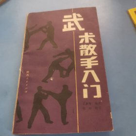 武术散手入门