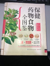 保健药物食物全图鉴