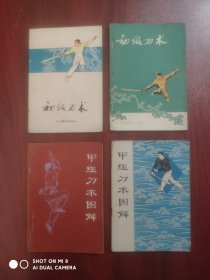 刀术，武术