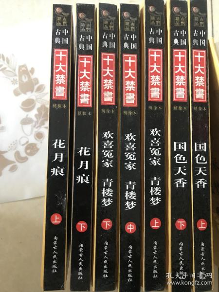 中国古典小说十大禁书（7本）1、花月痕上下册。2.欢喜冤家上中下册。3、国色天香上下册。