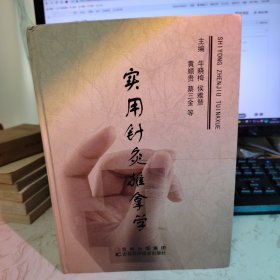 实用针灸推拿学 ，