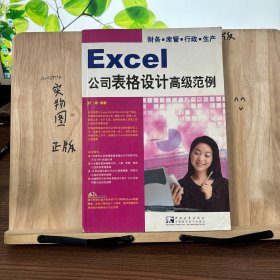 Excel 公司表格设计高级范例（附光盘）