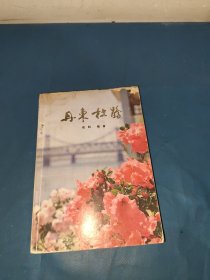 丹东杜鹃