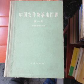 中国农作物病虫图谱（第一集）