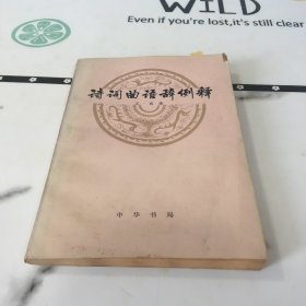 诗词曲语辞例释