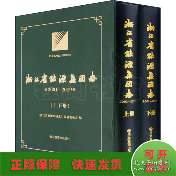 浙江省能源集团志(2001-2019上下)(精)