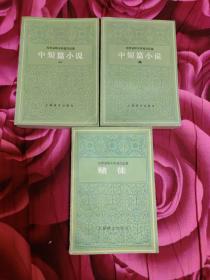 陀思妥耶夫斯基作品集：中短篇小说 ( 一 + 二 + 赌徒 合3册) [俄] 陀思妥耶夫斯基 著 周朴之 荣如德 等译 上海译文出版社 正版现货 实物拍照