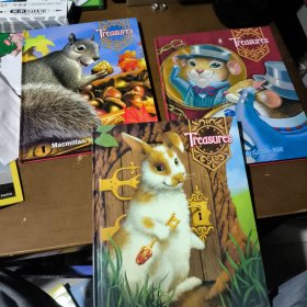 treasures1.1 1.2 1.3三册合售