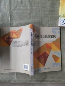 企业自主创新案例