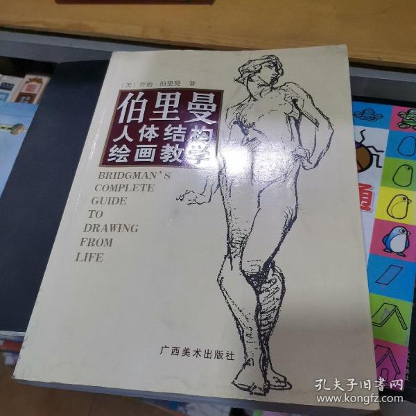 伯里曼人体结构绘画教学